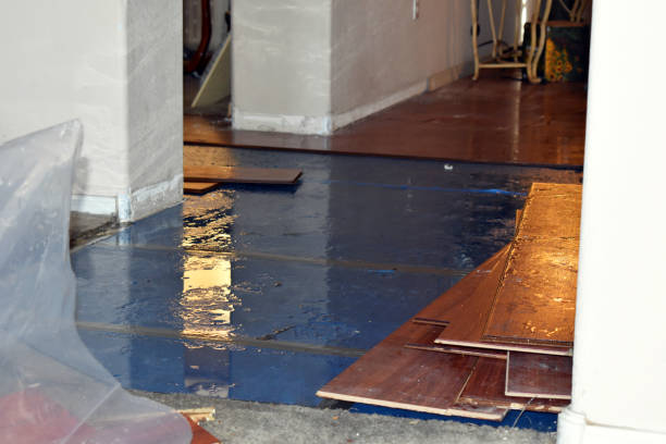 Professional Flood Damage Repair technician working in Babcock, WI